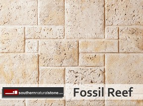 Coral Stone Fossil Reef