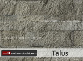 Talus