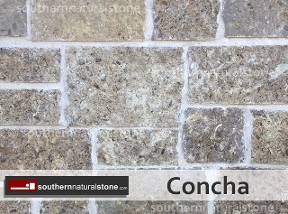 Builder 468, Sawcut, Concha