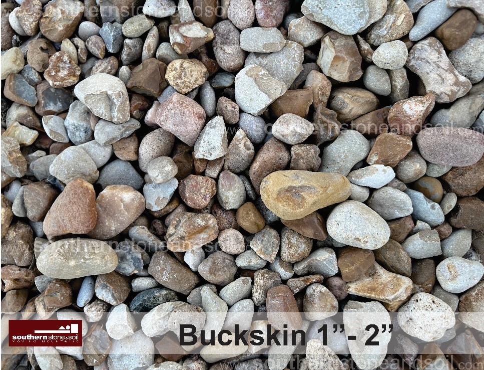 Buckskin