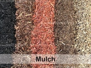 Mulch