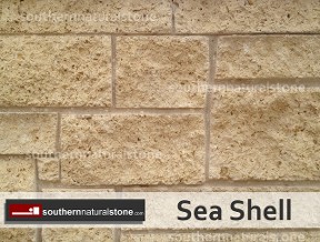 Sea Shell